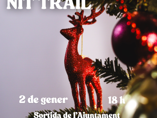 Cursa Nit Trail
