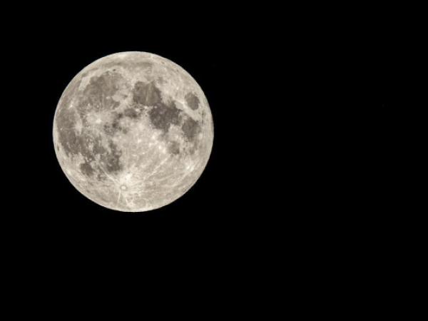 Jugateca del parc Nou: Calendari de llunes