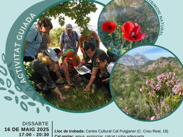Activitat guiada "Bosc del Gavatx i el Turó de l'Oromir"