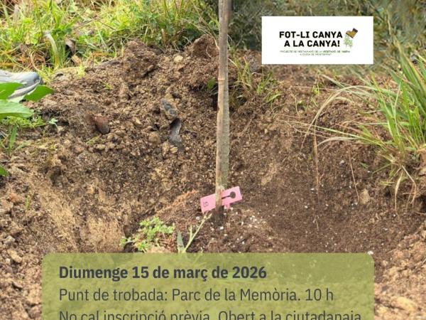 4a Plantada popular a l'Areny del Molí