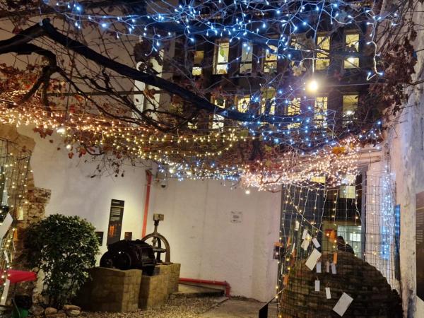 La vinya dels desitjos de Ca n'Amat