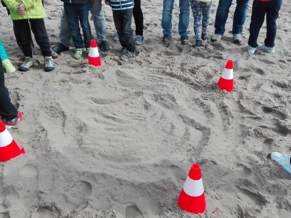 HEM TROBAT UN NIU DE TORTUGA!