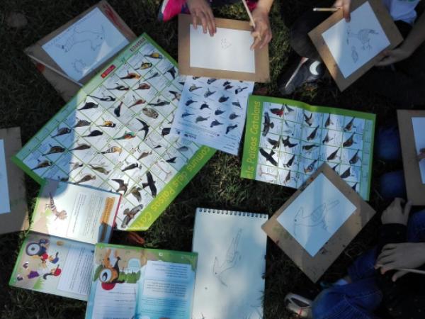 Jugateca del parc del Riu: Dibuixem la biodiversitat