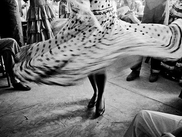 Oleandolas · Concert ContraBaix