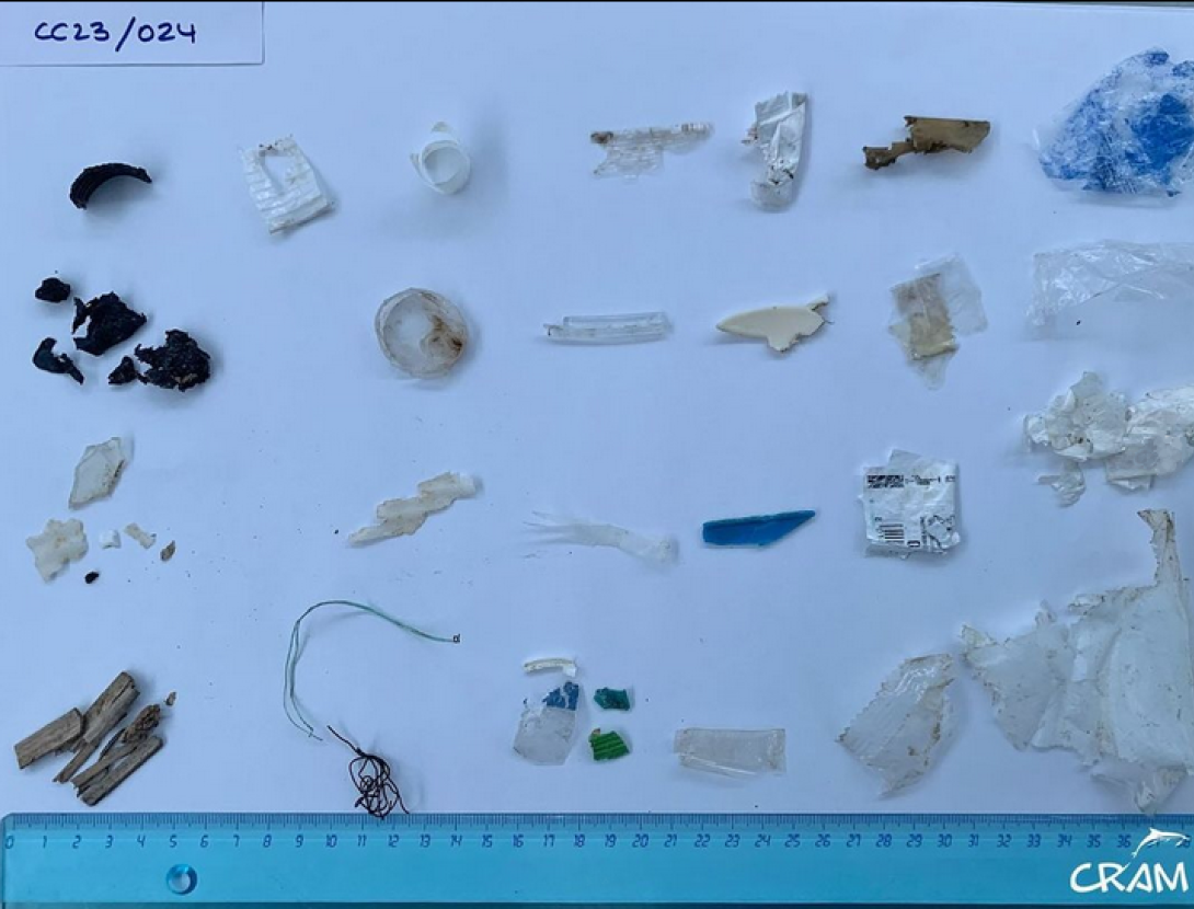 Propietat CRAM 2015 IMG_9439.jpg