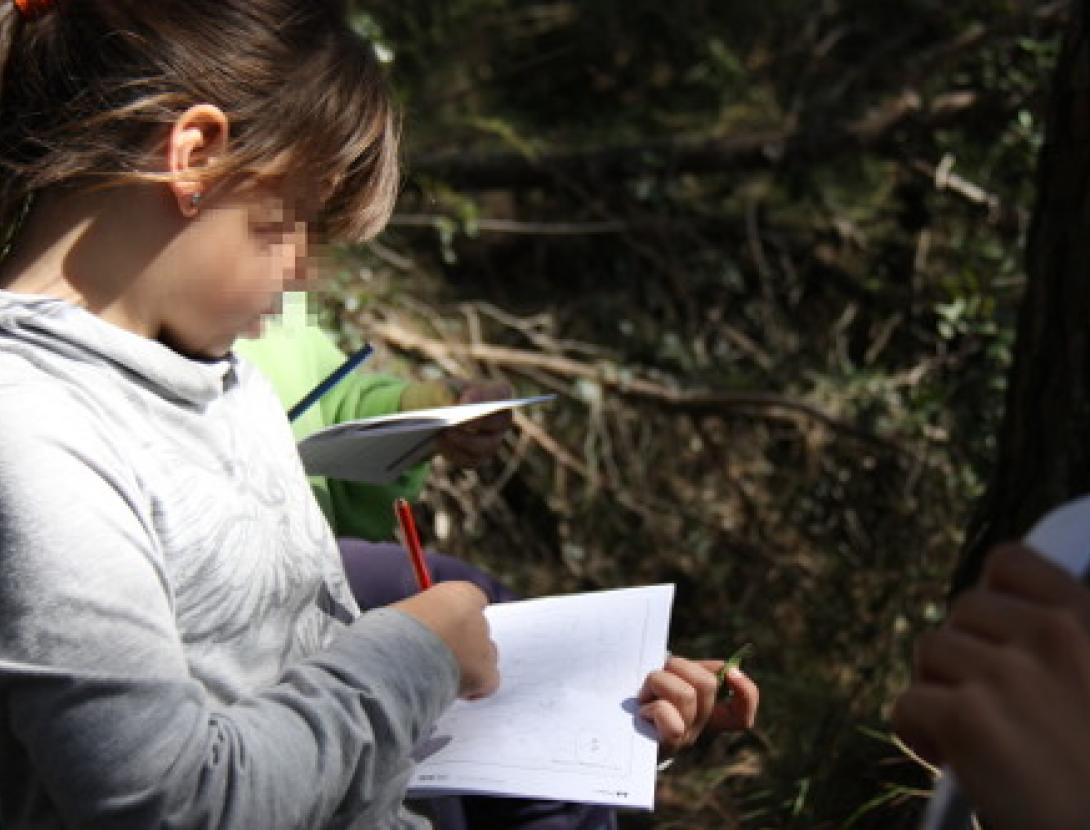 Investiguem el bosc.JPG