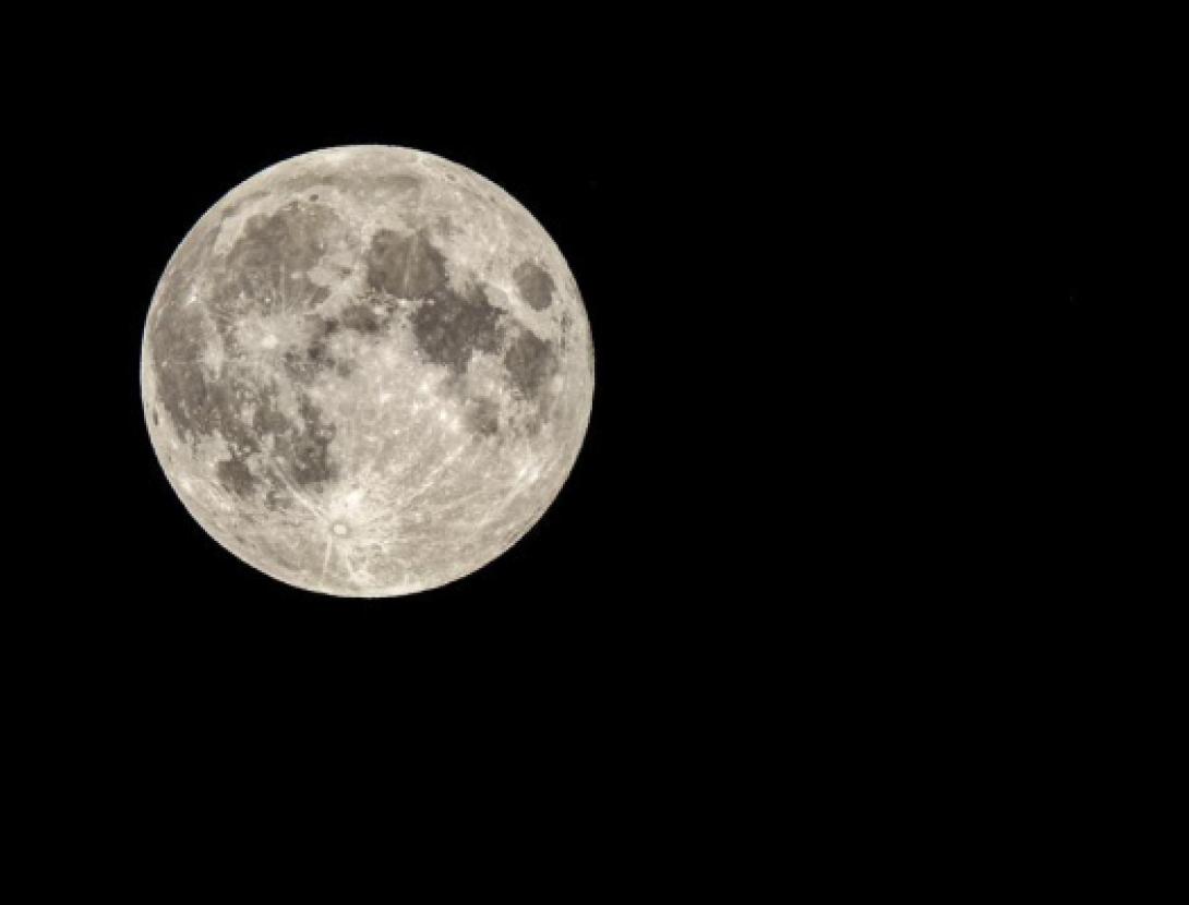 Jugateca del parc Nou: Calendari de llunes