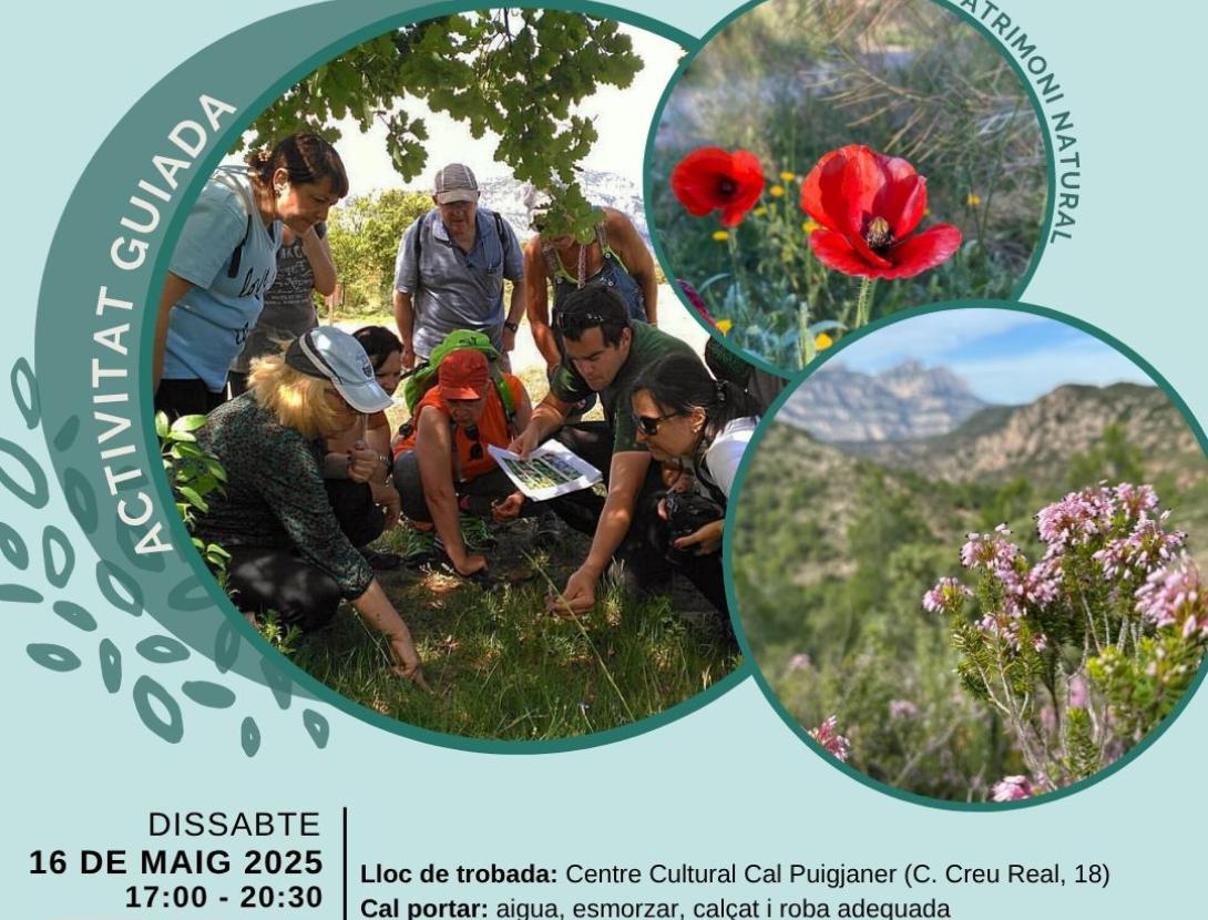 Activitat guiada "Bosc del Gavatx i el Turó de l'Oromir"