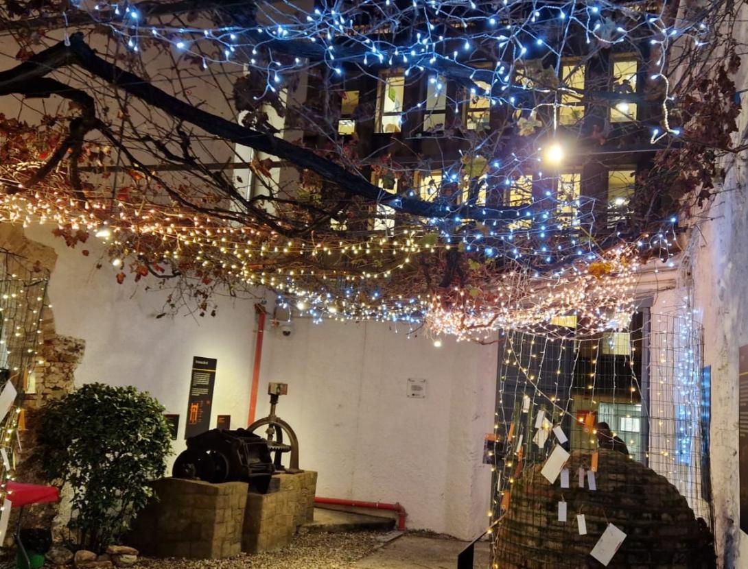 La vinya dels desitjos de Ca n'Amat