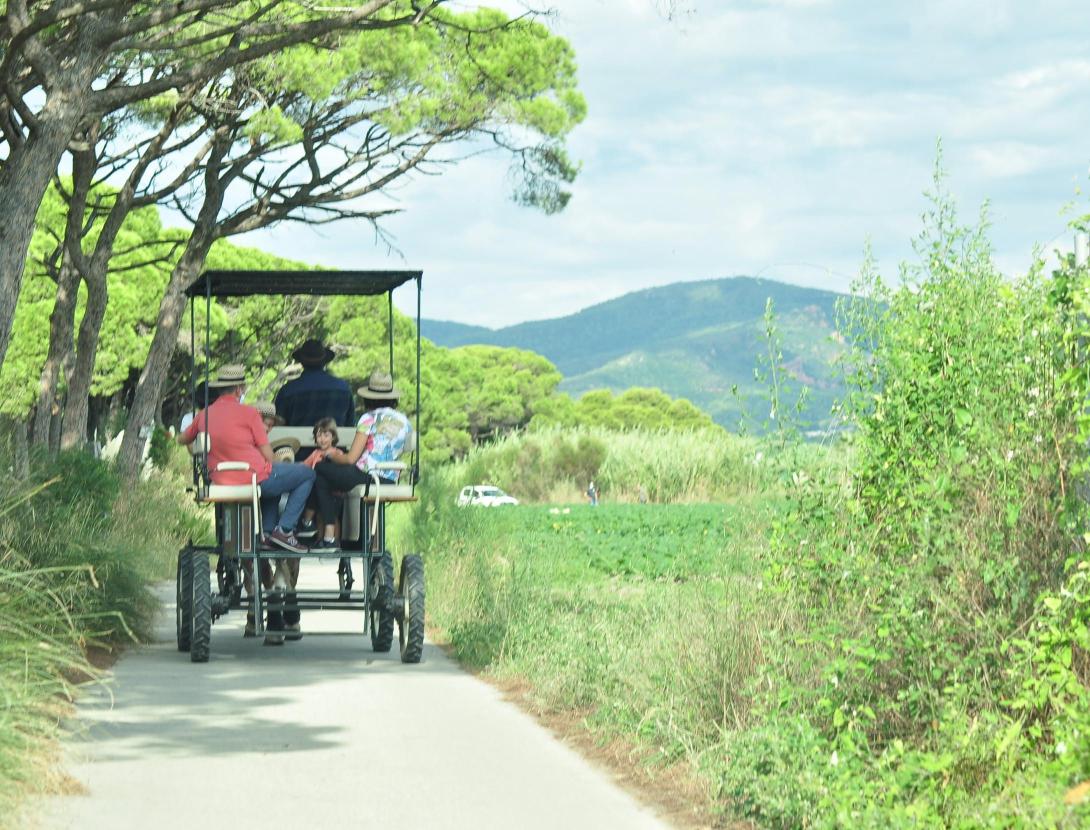 Passeig en carruatge i taller d'eines agrícoles tradicionals al Parc Agrari