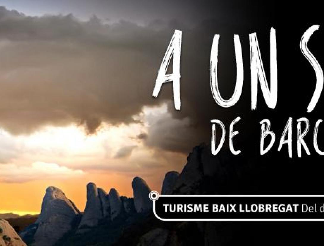 header_promo 1 cat.jpg