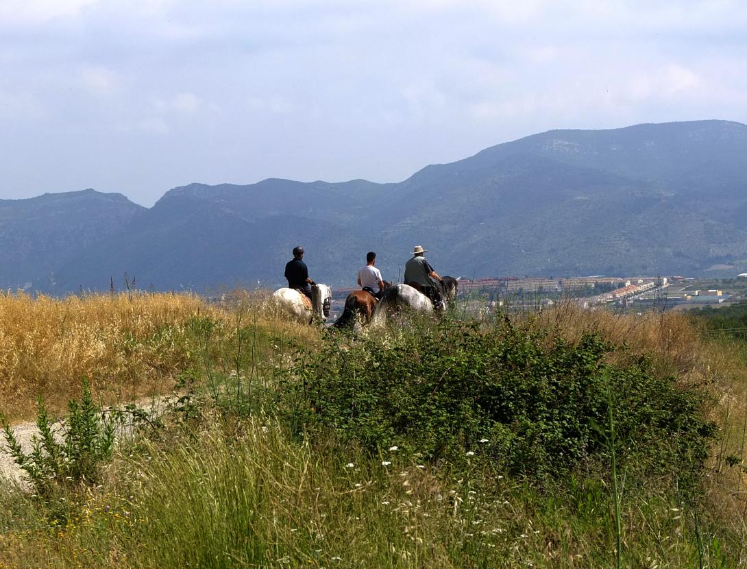 Sant Esteve Sesrovires_plans de Can Garrigosa (5) copia.jpg