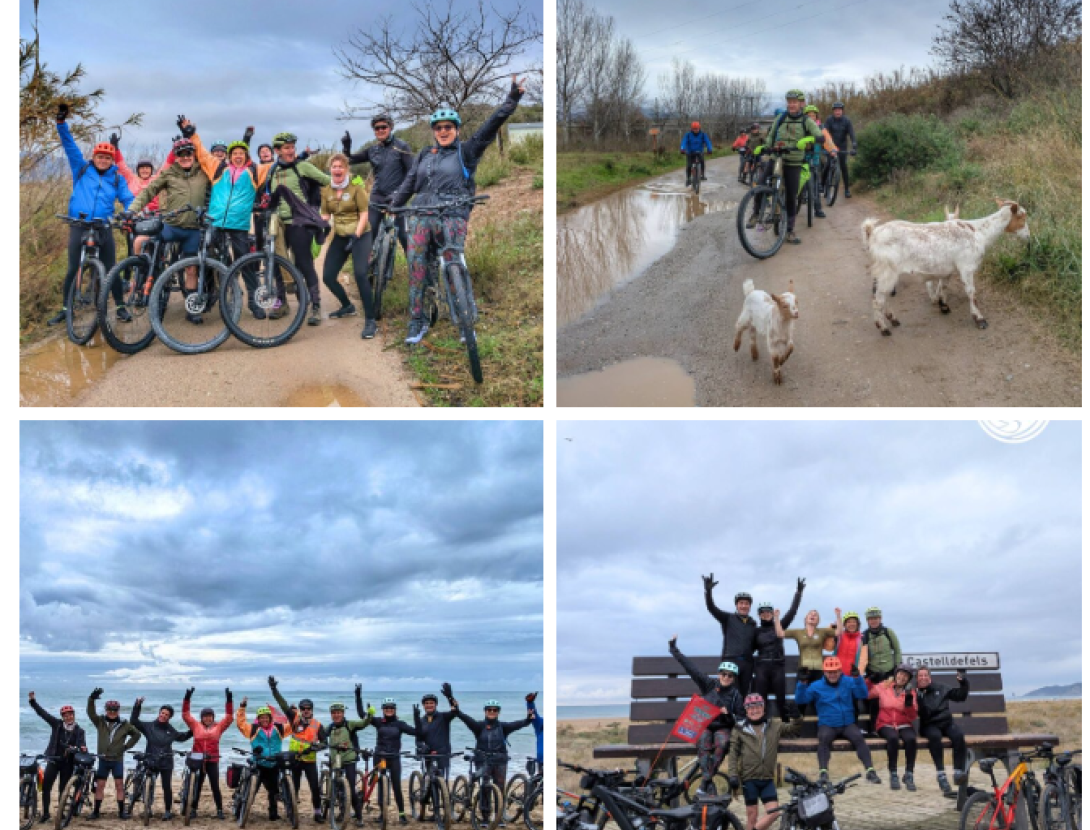 Cami de l'Oli - 1.JPG